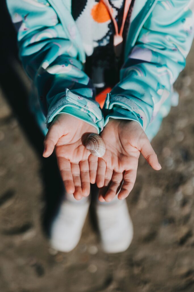 Muschel in Kinderhänden